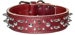 1  3/4" Spike Studded Collar 20" brown