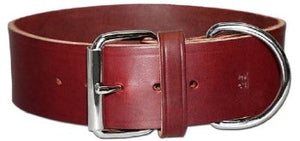 Latigo Leather 2" Dog Collars Stainless Steel Hardware