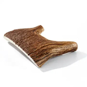 All Natural Moose Antler Large ea