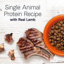 Canidae Under the Sun Grain-Free Lamb Recipe Adult Dry Dog Food, 40-lb (The Big Bag)