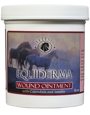 Equiderma Wound Ointment 16oz