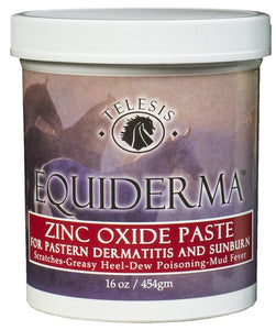 Equiderma Zinc Oxide Paste 16 oz