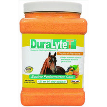 Dura-Lyte Horse Electrolytes 80 servings in 5lb jar