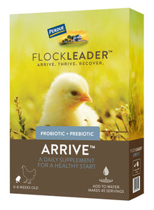 FlockLeader Arrive Prebiotic Probiotic Supplement For Chickens 0-8 Weeks 8-OZ