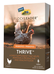 FlockLeader Thrive Prebiotic Probiotic Supplement For Chickens 8+ Weeks