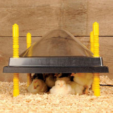 Chick, Quail, Brooder Heating Plate Various Sizes Available