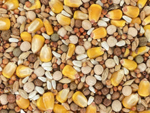 Versele-Laga Classic Pigeon Food Blends 15% Popcorn 50 lb