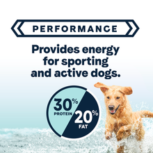 Canidae Active Goodness Salmon Active Puppy & Adult Dog 30 lb