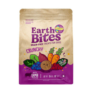 EarthBites Crunchy Grain-Free Treats for Dogs Lamb & Pumpkin 10oz