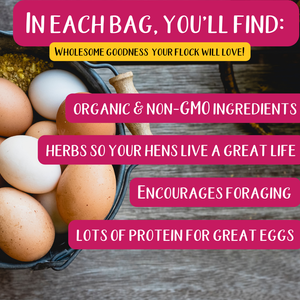 Omega Burst Omega Rich Treat For Great Eggs & Feathers!
