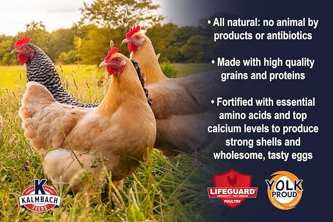 Kalmbach Feeds All Natural Non-GMO 17% Protein Layer Pellet Chicken Feed, 50-lb bag