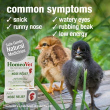 HomeoVet Avian Nose Relief