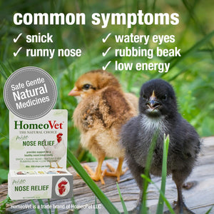 HomeoVet Avian Nose Relief