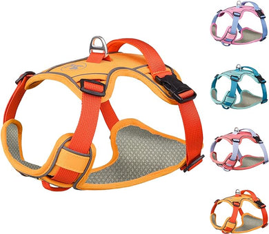 Aiitle XSmall Dog Harness (orange)