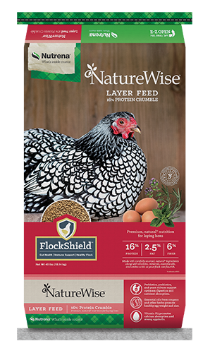 NatureWise Layer 16% Crumble Chicken Feed