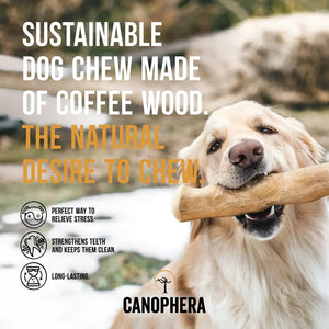 Canophera Dog Chew Stick made of Coffee Tree Wood