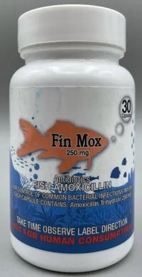 Fish Amoxicillin  250 mg