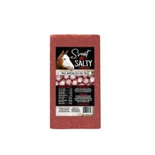 Sweet and Salty Tribute Flavored Mineral Block 4# Variety Flavors