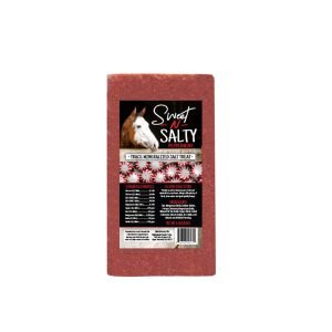 Sweet and Salty Tribute Flavored Mineral Block 4# Variety Flavors