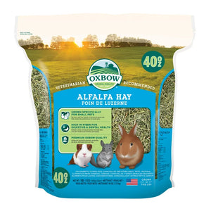 Oxbow Alfalfa Hay Bagged Hay for Small Animals **ELIGIBLE REWARDS PROGRAM***