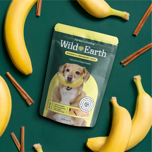 Wild Earth Superfood Dog Treats with Koji  Banana & Cinnamon 5 oz