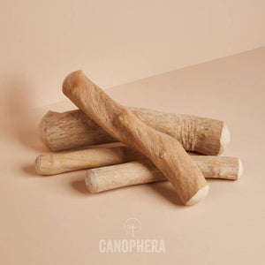 CANOPHERA LLC - Dog Chew Stick Made of Coffee Wood.