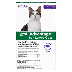 Advantage Large Cat 2 Pack