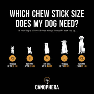 CANOPHERA LLC - Dog Chew Stick Made of Coffee Wood.