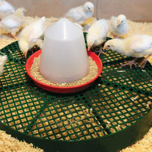 Chick Stand Brooder Stand