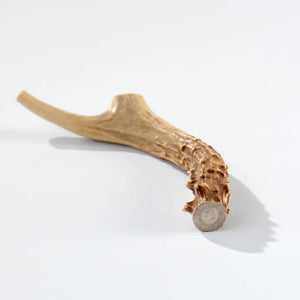 Buck Bone Organic Deer Antlers Various Options Hardest Chew