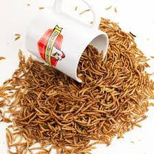 Happy Hen Treats Mealworm Frenzy, 5-lb