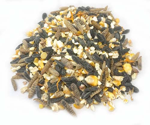 Omega Burst Omega Rich Treat For Great Eggs & Feathers!