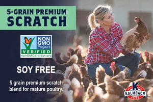 Kalmbach Non-Gmo Soy Free Scratch Grain Chicken Feed 50lb