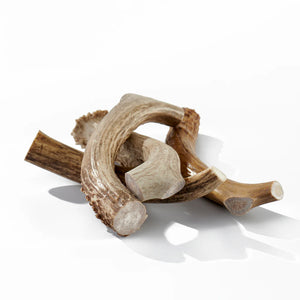 Buck Bone Organic Deer Antlers Various Options Hardest Chew