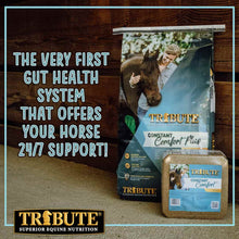 Tribute Equine Nutrition Constant Comfort Gastric Health Horse Supplement, 40lb