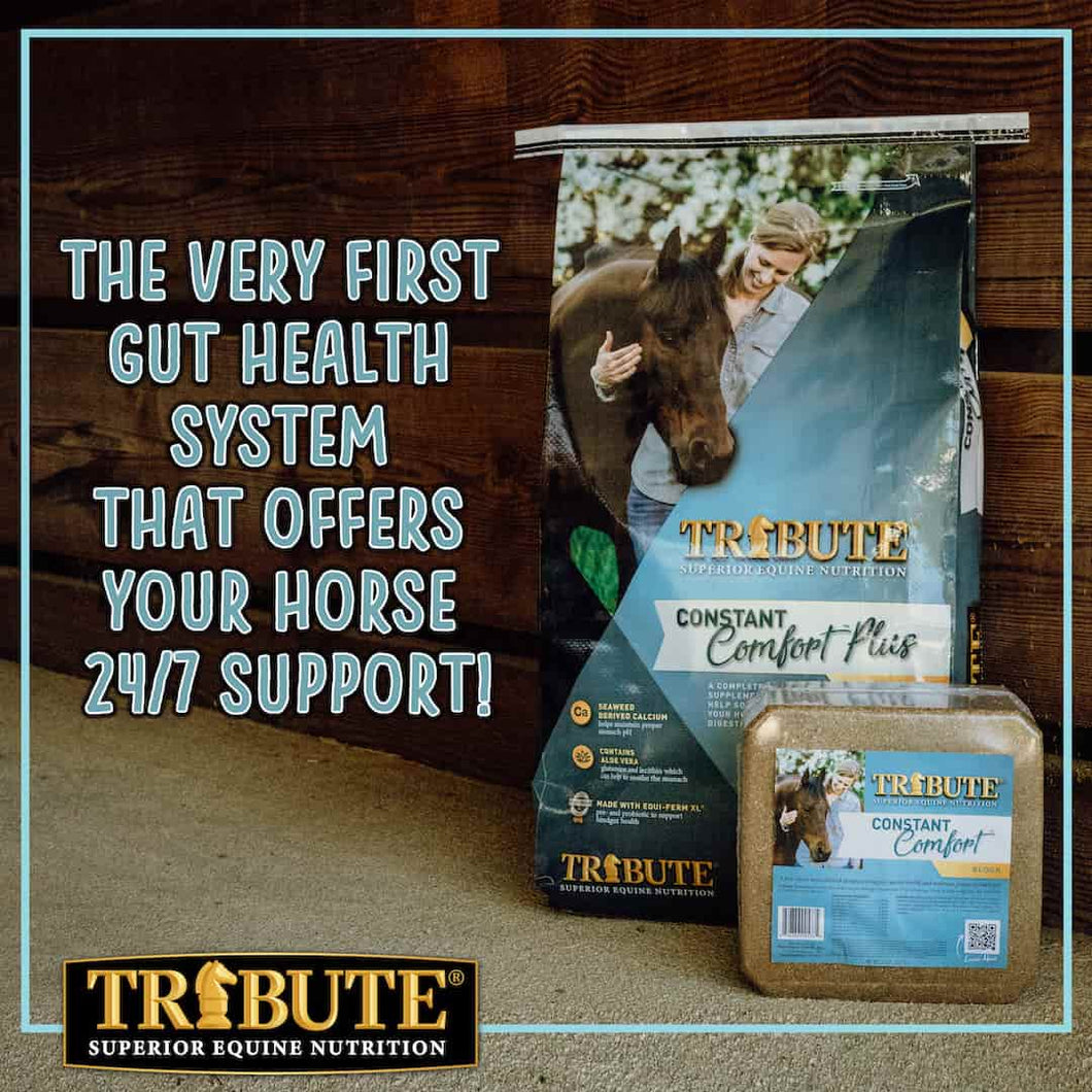 Tribute Equine Nutrition Constant Comfort Gastric Health Horse Supplement, 40lb