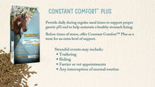 Tribute Equine Nutrition Constant Comfort Gastric Health Horse Supplement, 40lb