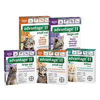 Advantage II For Cats and Kittens 4 Pack