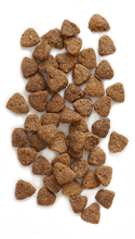 Earthborn Holistic® Adult Vantage Natural Dry Dog Food