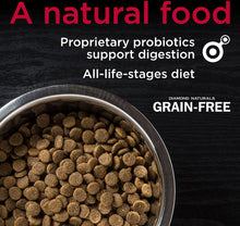 Diamond Naturals Grain-Free Beef & Sweet Potato Formula Dry Dog Food