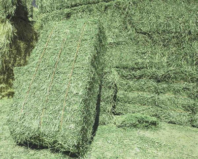 Alfalfa Hay 2 String Heavy Bales G