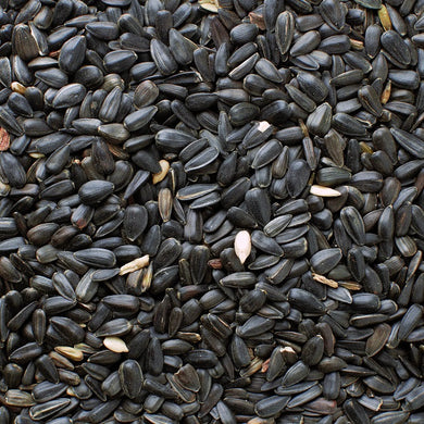 Black Oil Sunflower Seeds AGF Various Sizes