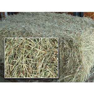 Coastal Hay Bale 2 string Perfect for bedding and Gardening