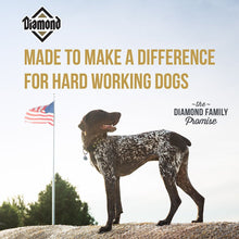 Diamond Performance Formula Adult Dry Dog Food