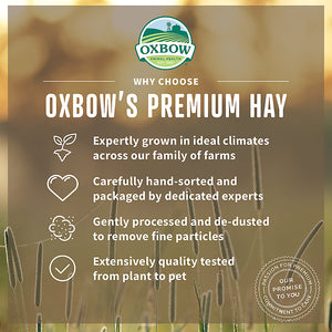 Oxbow Hay Blends Western Timothy/Orchard Grass Hay