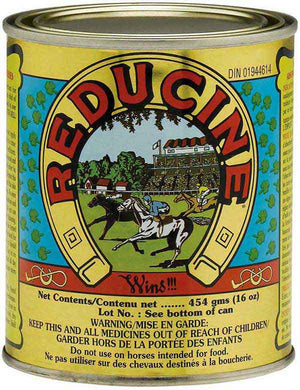 Farnam Reducine Absorbent for Horses, 16-oz