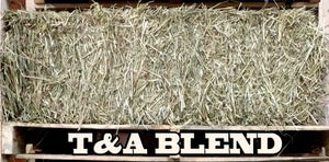 Timothy and Alfalfa Blend Hay average 65-75lb bale T&A